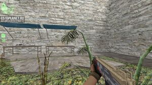 CS 1.6 Revision